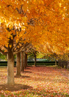 Chicago 2013-93