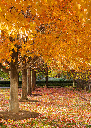 Chicago 2013-93